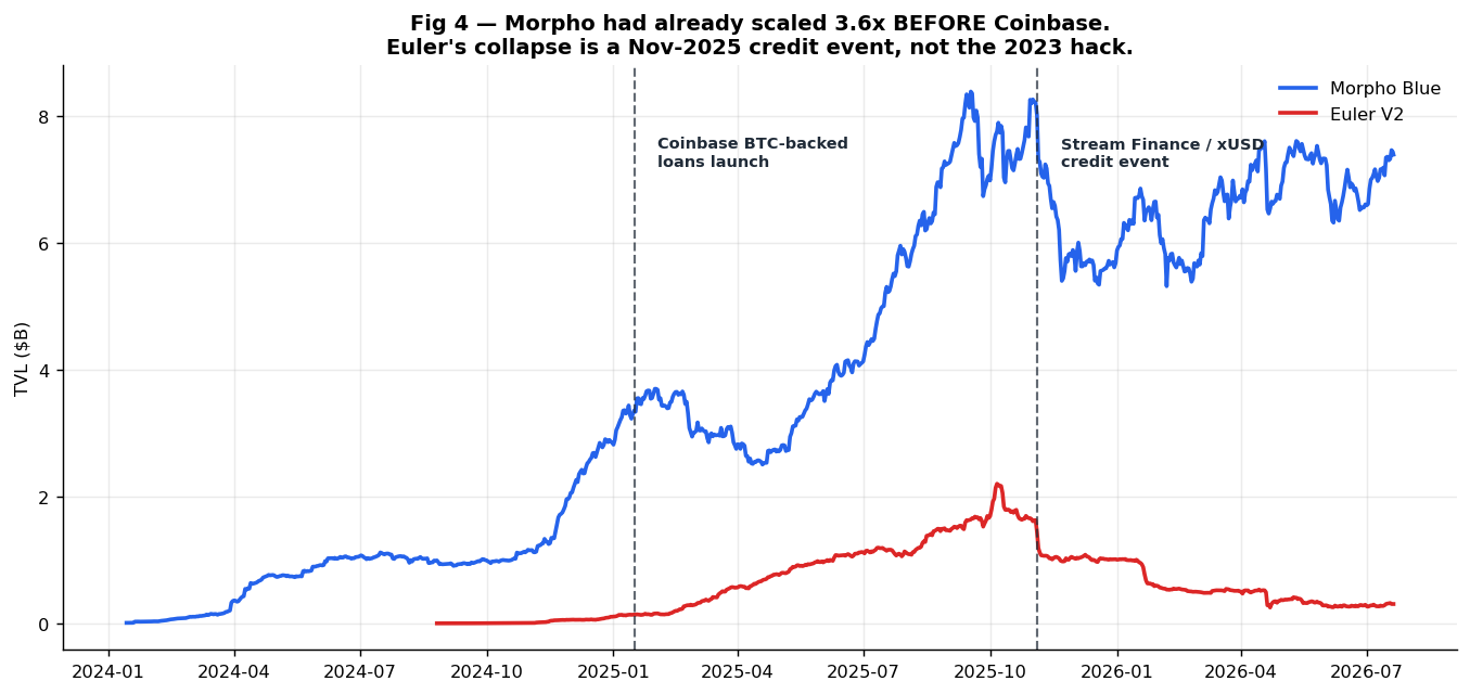 Morpho TVL around the January 2025 Coinbase announcement